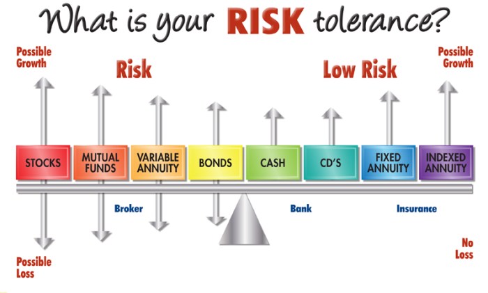 Tolerance assessment ameriprise